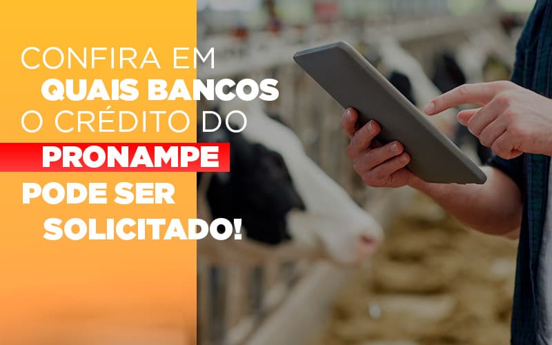 Confira Em Quais Bancos O Credito Pronampe Ja Pode Ser Solicitado - Escritório de Contabilidade em Caxias do Sul | Prime Cont